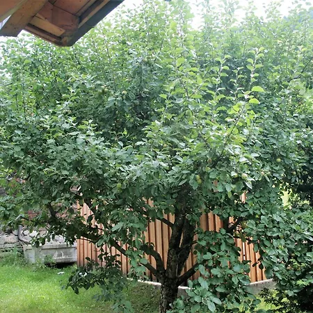 Hotel Garni Angerer Lutago